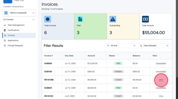 Click View to open the invoice details.